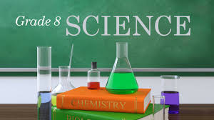 Science and Technology 8